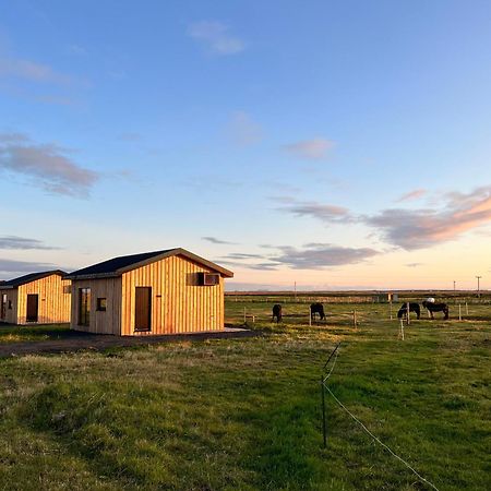 Sleeping With The Horses Apartment Hvolsvollur Bagian luar foto
