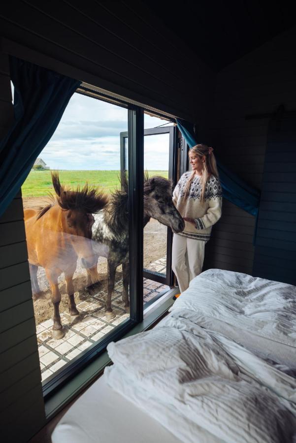 Sleeping With The Horses Apartment Hvolsvollur Bagian luar foto