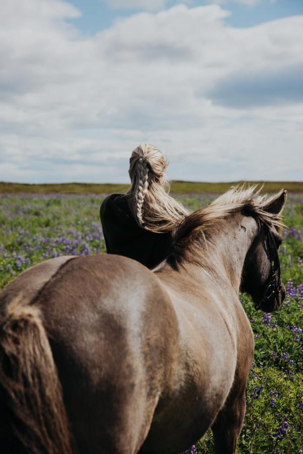 Sleeping With The Horses Apartment Hvolsvollur Bagian luar foto