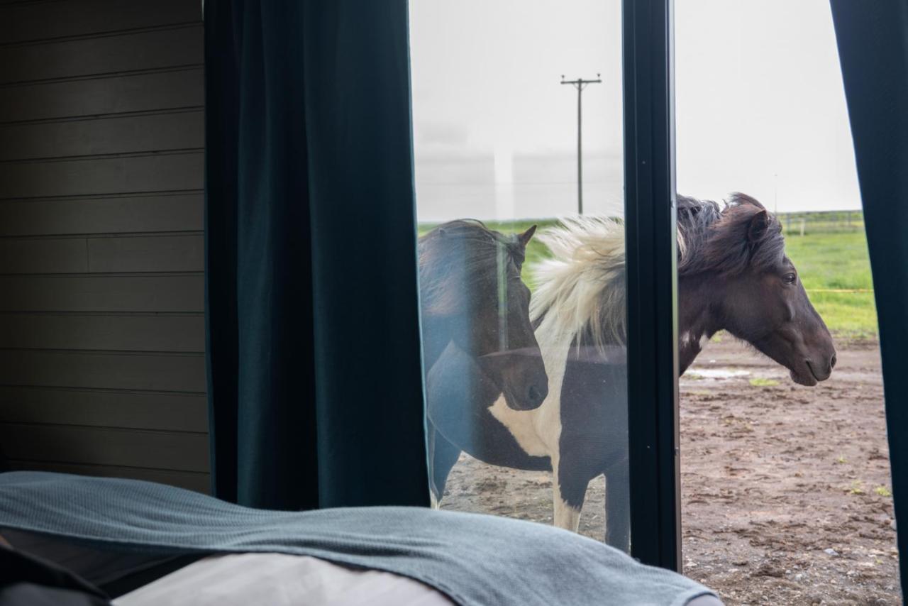 Sleeping With The Horses Apartment Hvolsvollur Bagian luar foto