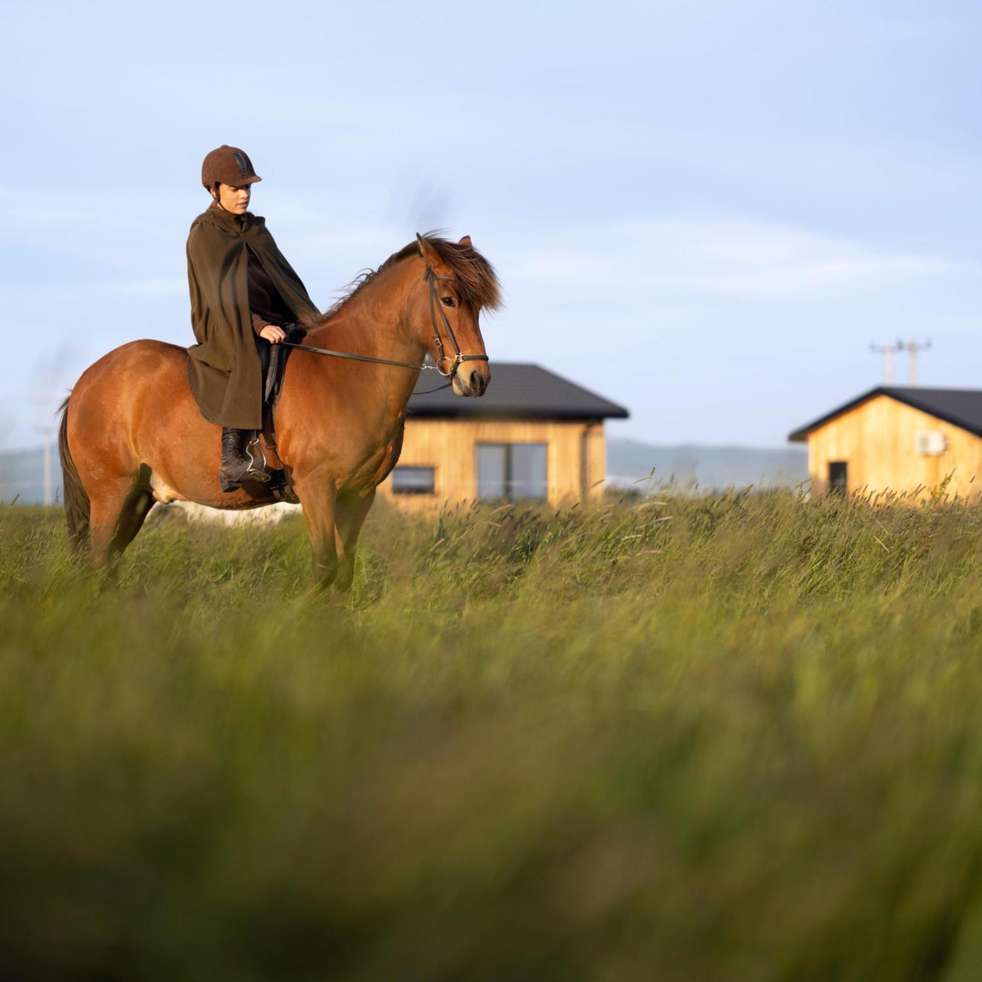 Sleeping With The Horses Apartment Hvolsvollur Bagian luar foto