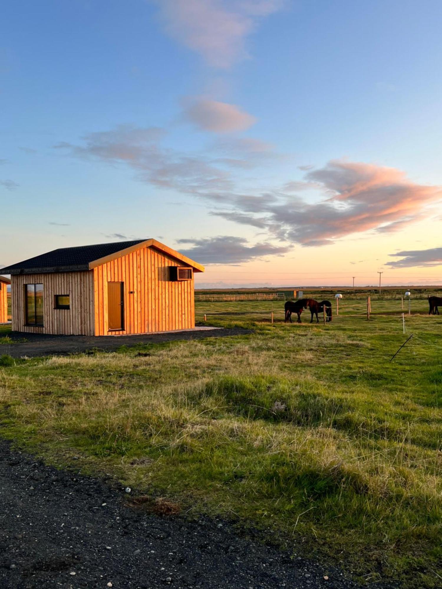 Sleeping With The Horses Apartment Hvolsvollur Bagian luar foto