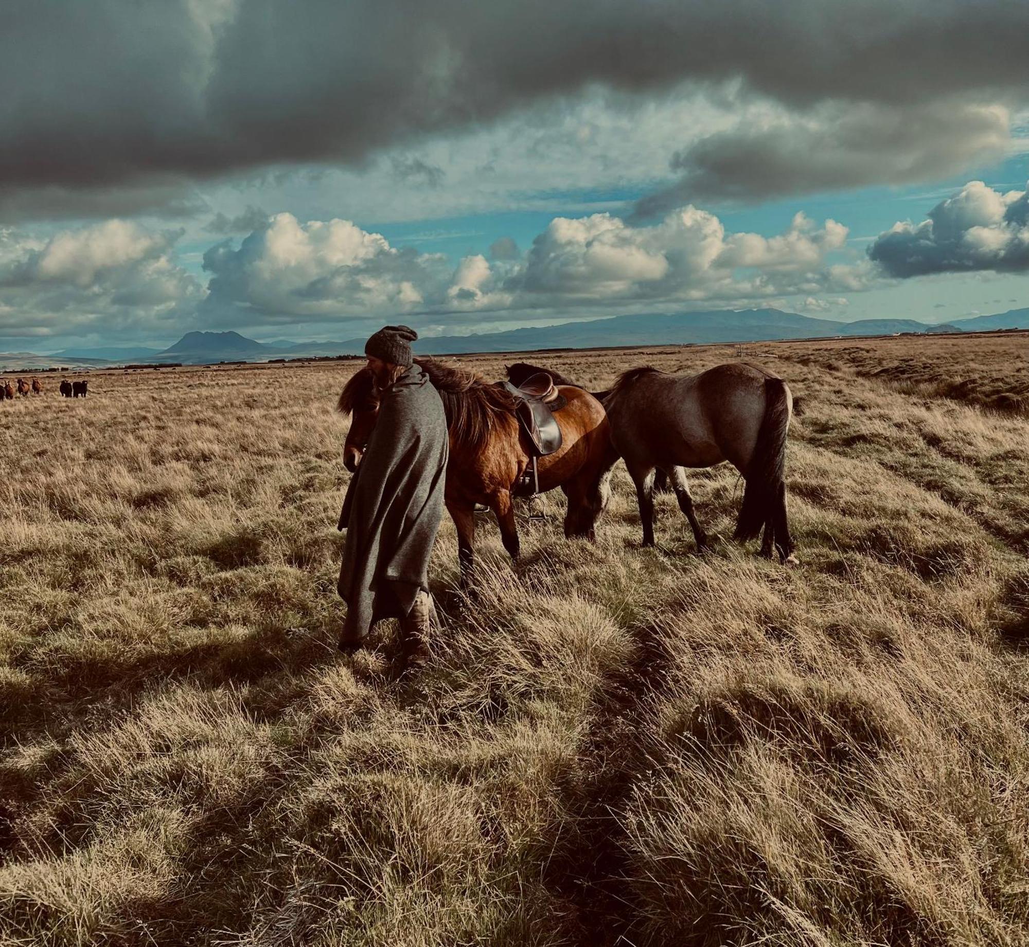 Sleeping With The Horses Apartment Hvolsvollur Bagian luar foto